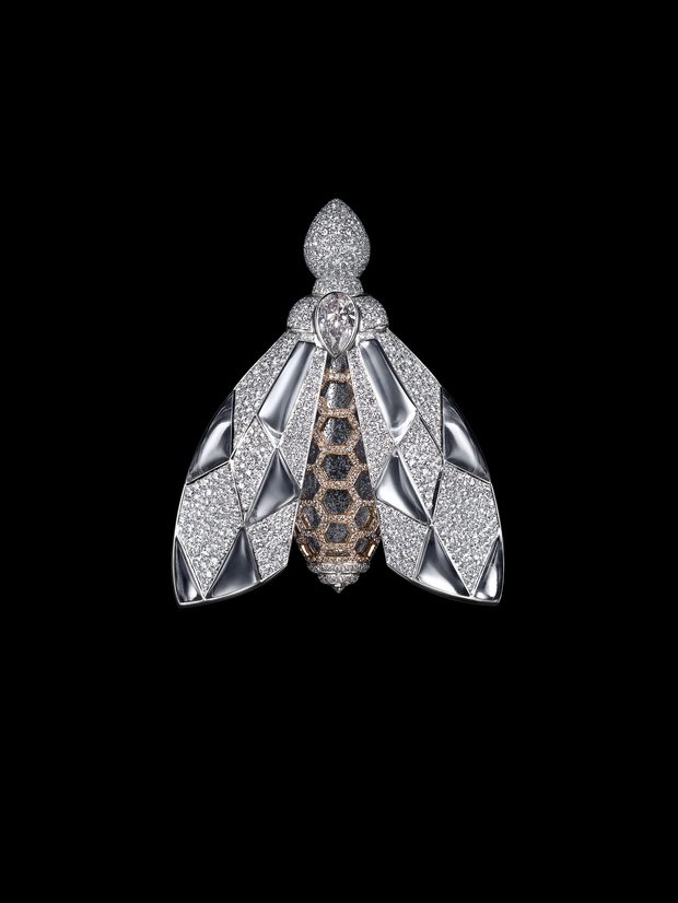 Ирина Лянная: подарок в стиле Limited Edition