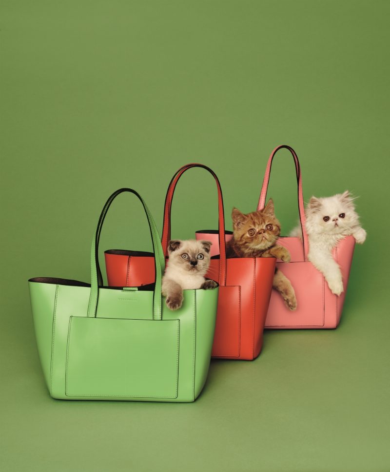 Coccinelle откроют корнер в ЦУМе