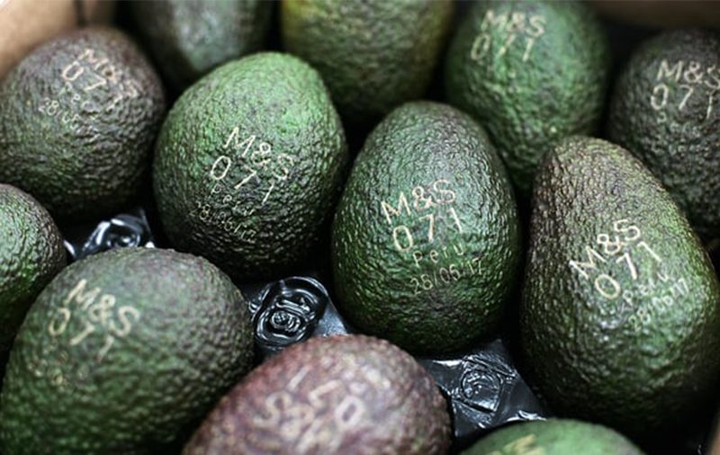 Marks & Spencer выпустили авокадо