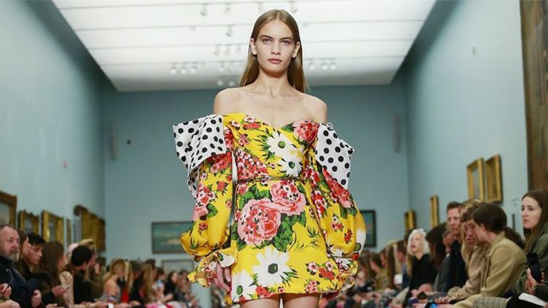 25 лучших образов в коллекции Carolina Herrera SS’19