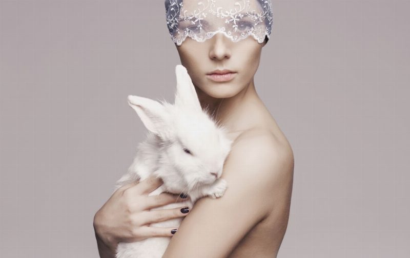 Cruelty free: чем сегодня заменяют тестирование косметики на животных?