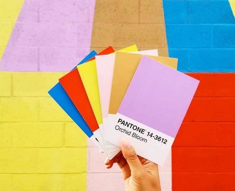 Pantone назвал главный цвет 2020 года