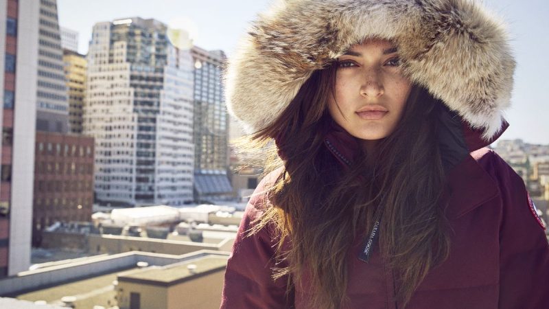 Canada Goose откажутся от меха к 2022 году
