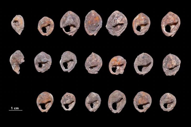 150 тысяч лет: Археологи обнаружили самые древние украшения