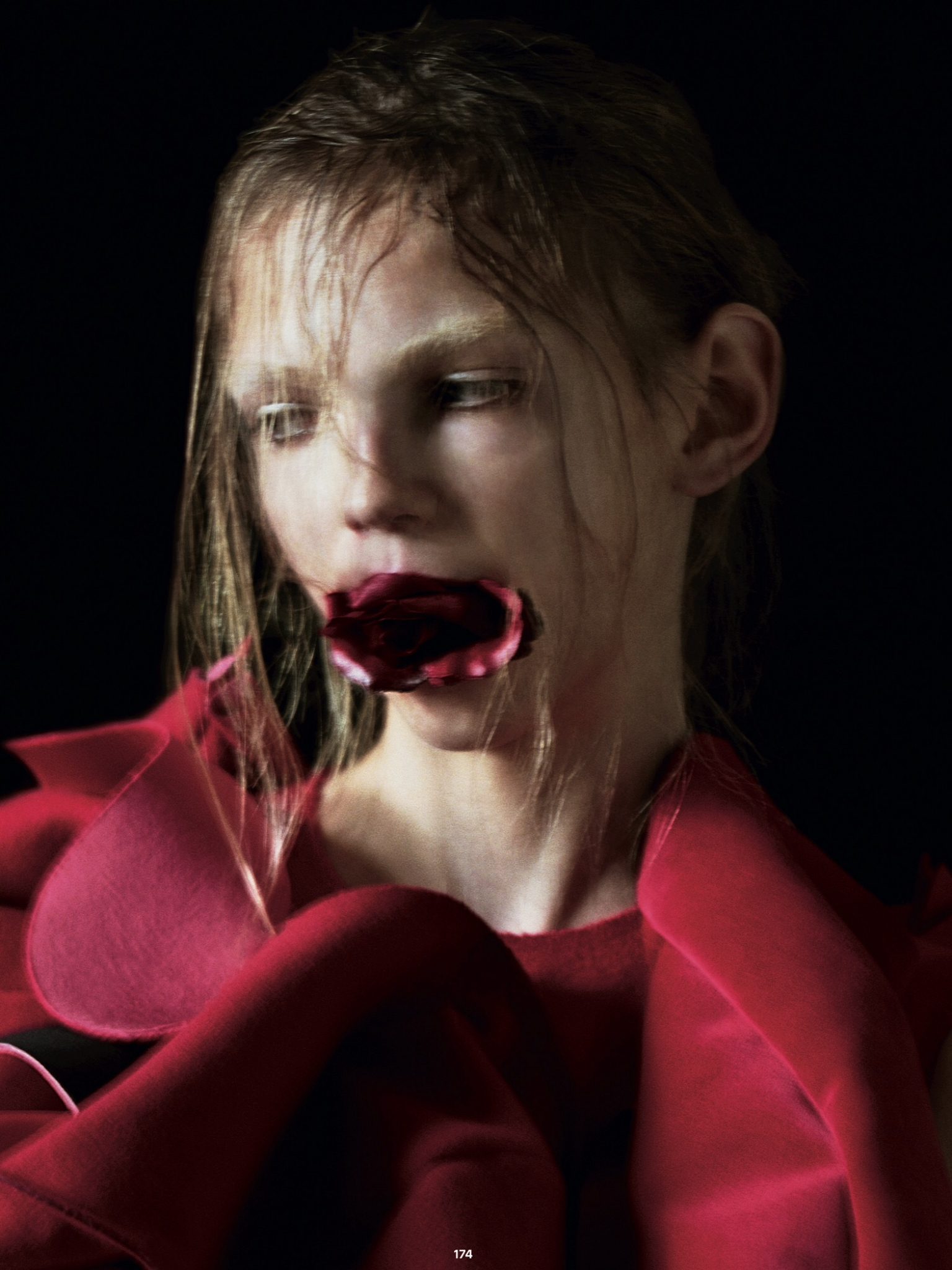 Jeff-Bark-War-of-Roses-Dazed-Spring-2015-15 Jeff-Bark-War-of-Roses-Dazed-Spring-2015-15