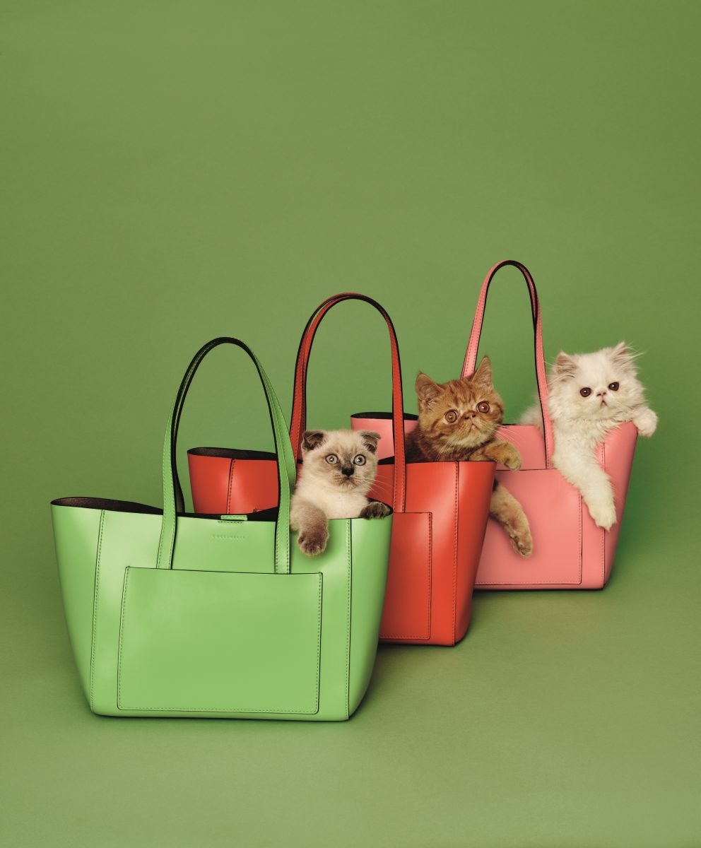 Coccinelle откроют корнер в ЦУМе