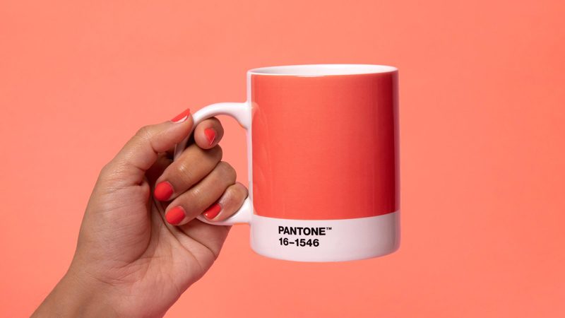 pantone-2019-living-coral-3