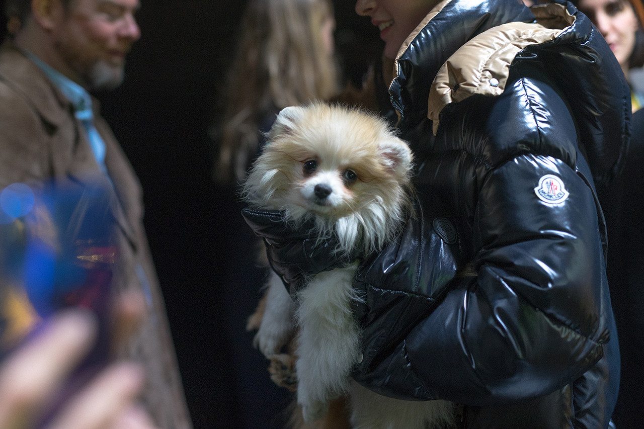 https___bae.hypebeast.com_files_2019_02_moncler-genius-milan-fashion-week-presentation-alyx-simone-rocha-pierpaolo-piccioli-18