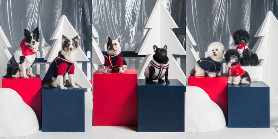 https___hypebeast.com_image_2018_11_moncler-poldo-dog-couture-fall-winter-2018-tw