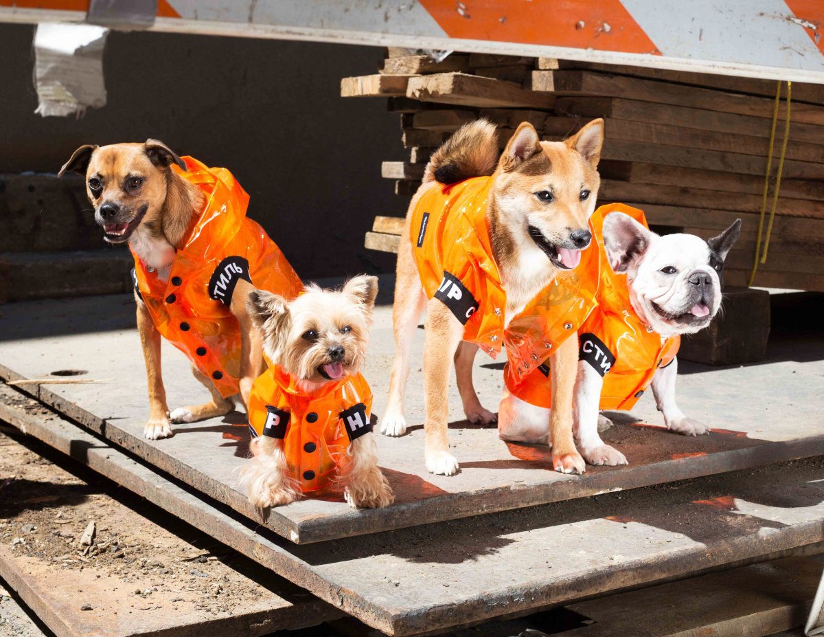 very-important-puppies-heron-preston