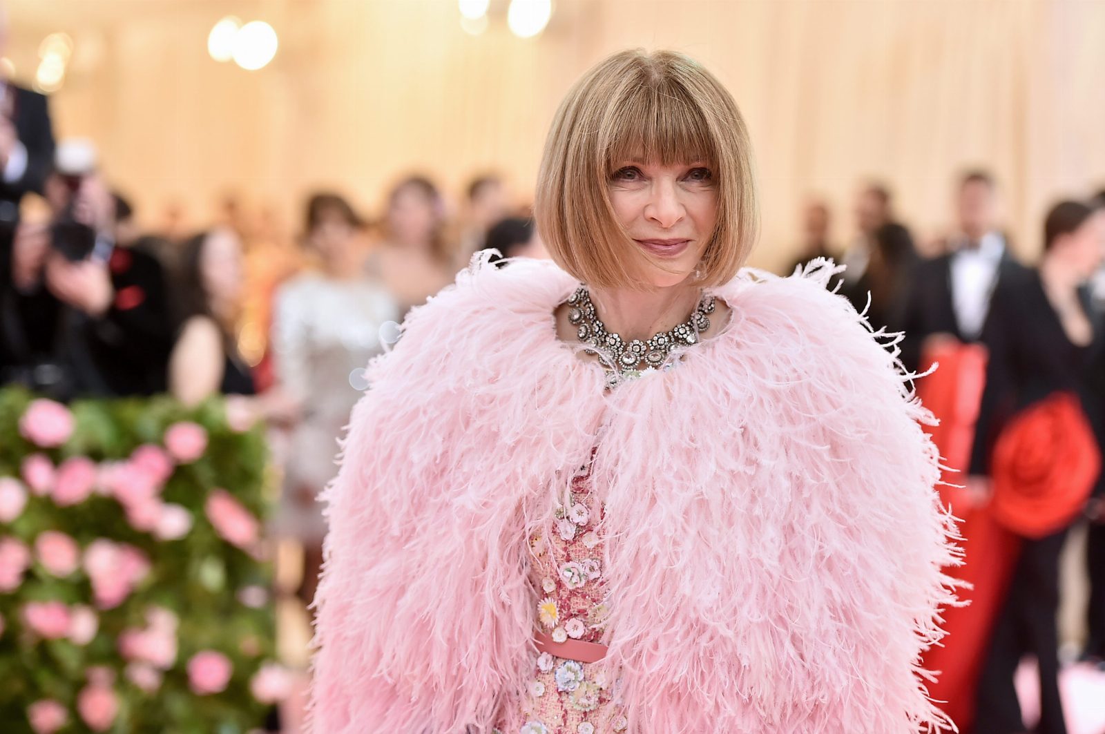 Уникальный опыт: Анна Винтур приглашает всех стать частью Met Gala 2020