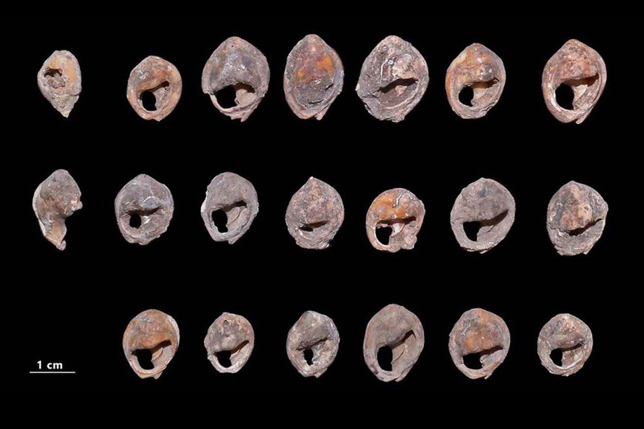 150 тысяч лет: Археологи обнаружили самые древние украшения